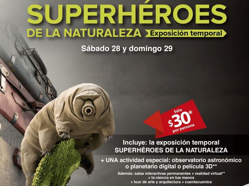 Se Va Superheroes de la naturaleza Laberinto de las ciencias y las artes