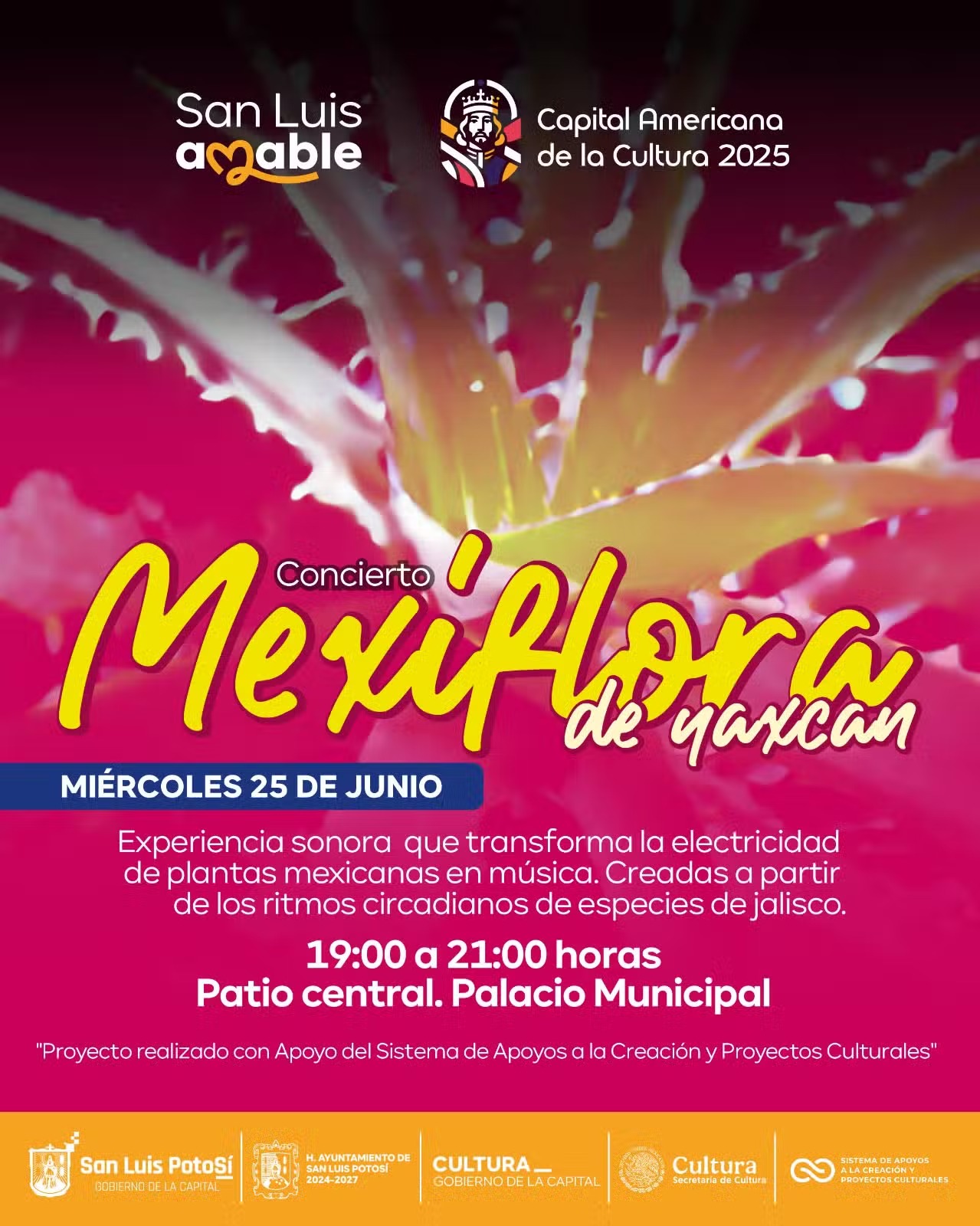Meciflora 