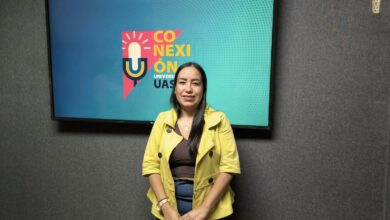 maestría en derechos humanos