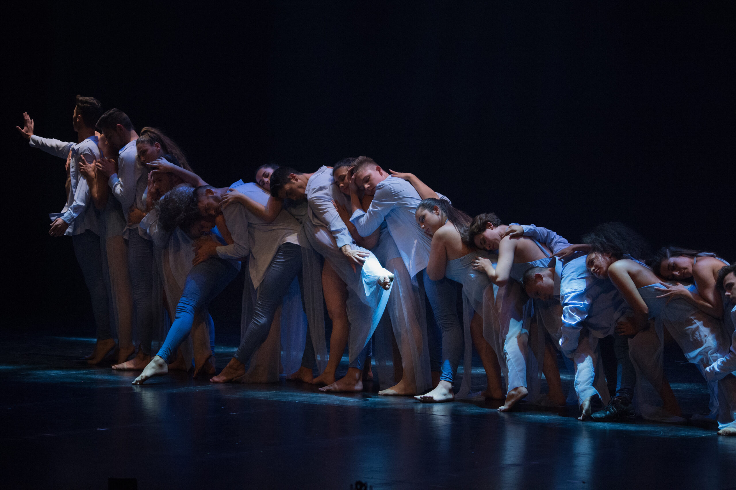 Danza contemporánea: el arte de contar historias con movimiento